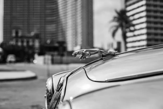 Kazoom Kaszinó Android/iOS Alkalmazás